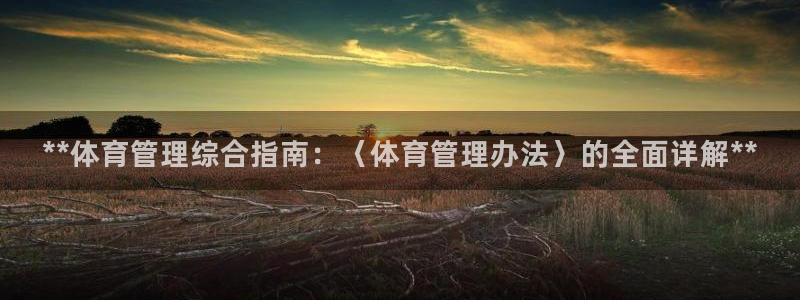 必一体育网页登陆：*