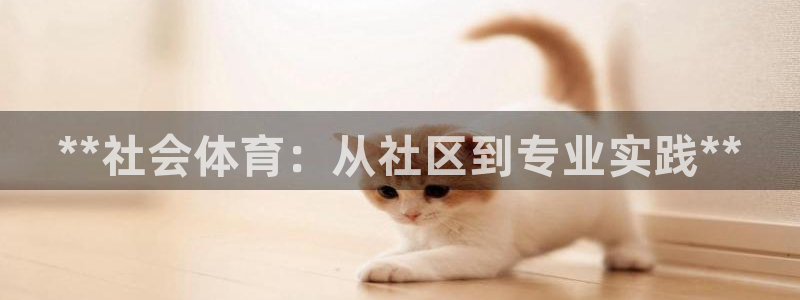 必一体育在线官网：*