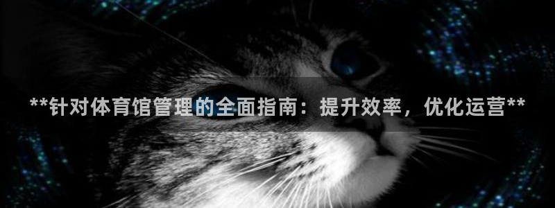 必一体育手机下载：*