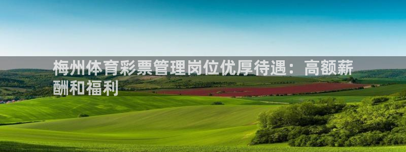 必一体育登录入口：梅