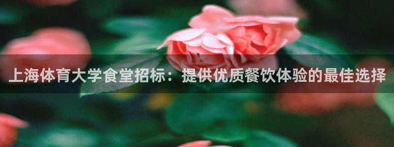 必一体育在线登录：上