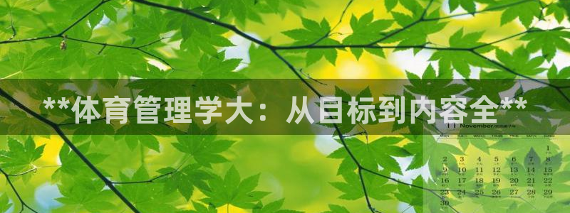 必一体育没了：**体
