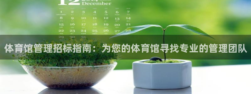必一体育游戏玩法：体