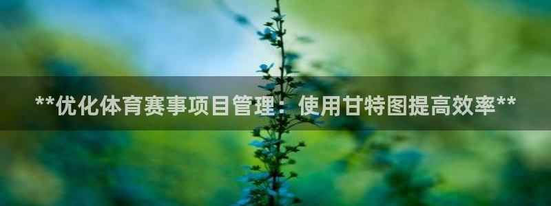 必一体育验证码：**