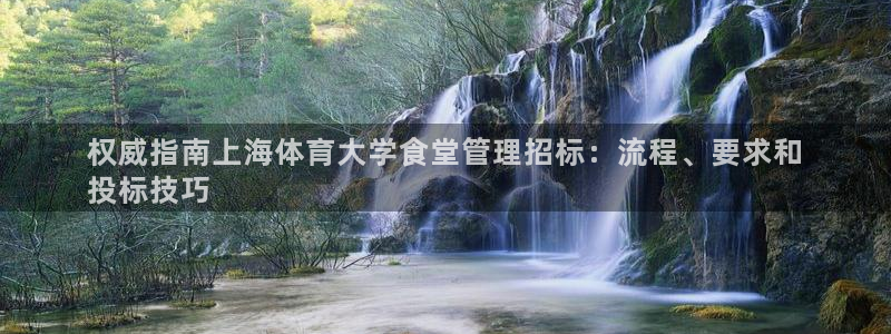 必一体育官方网站入口