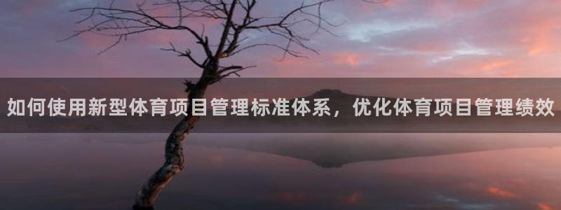 必一体育最新官网入口