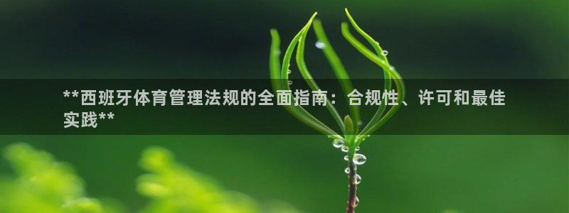必一体育运动app：