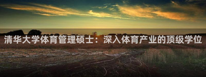 必一体育在线入口：清