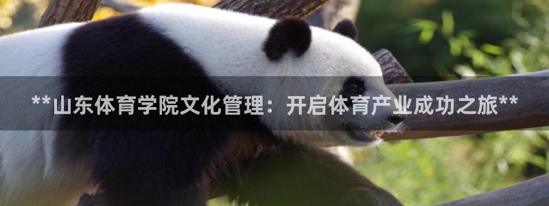 必一体育sport：