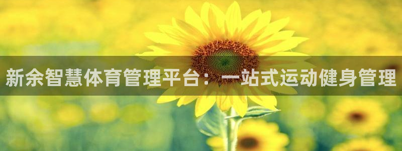 必一体育官方入口：新