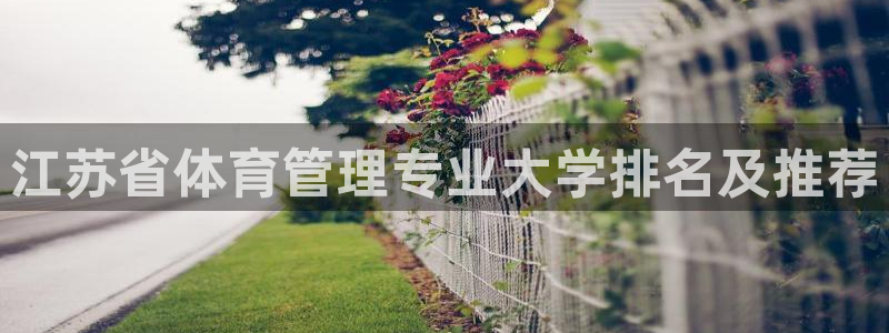 必一体育运动app：