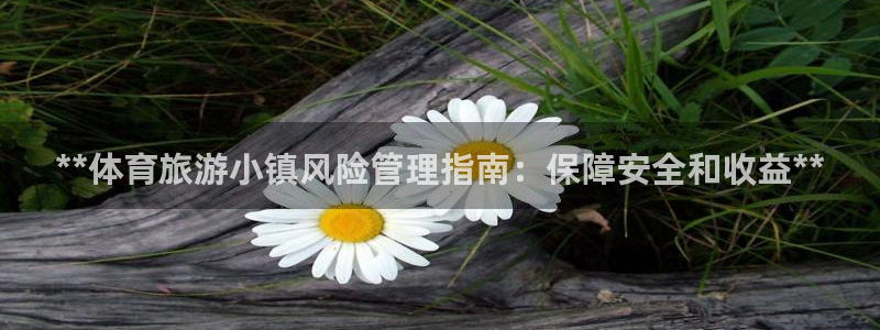 必一体育sport装