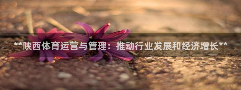 必一体育登录APP下