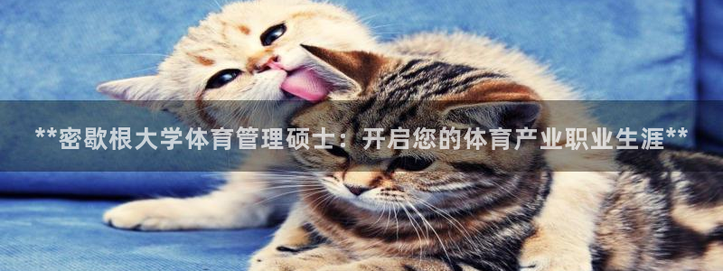 必十二和必一的副作用