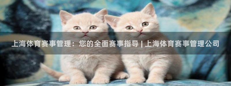 必一运动sport爱
