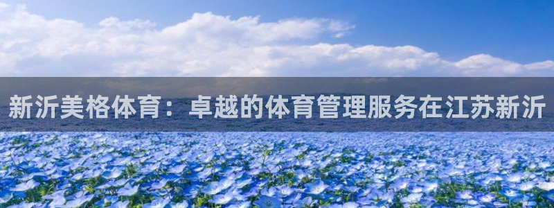 必一体育登录入口AP