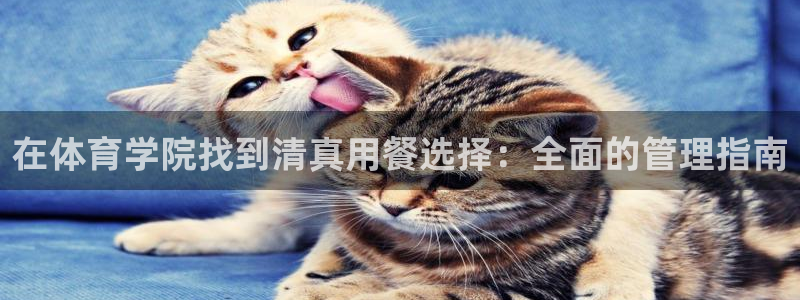 b体育官网下载入口a