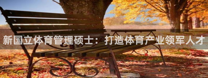 必一体育在线玩：新国