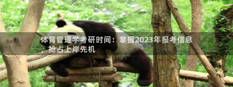 b体育必一下载：体育