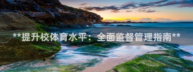 必一体育sport网