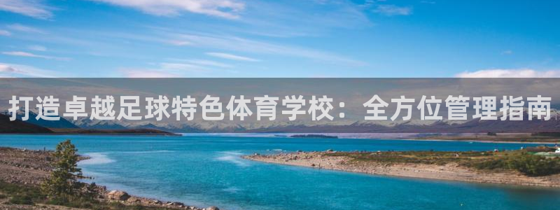 必一体育登录入口AP