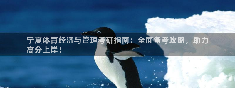 必一体育下载：宁夏体