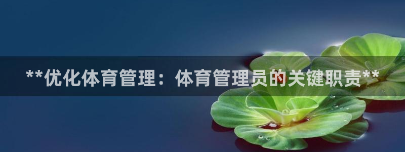 必一体育app官方正