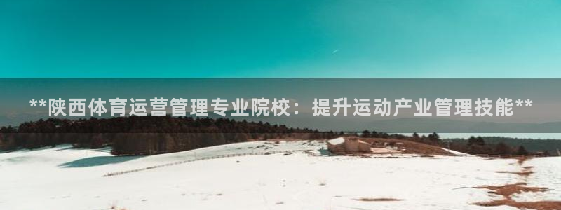 必一体育官网入口：*
