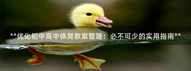 必一运动bsport