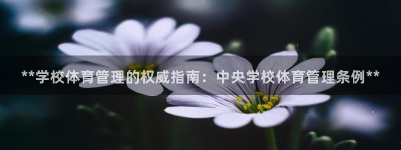 必一体育平台：**学