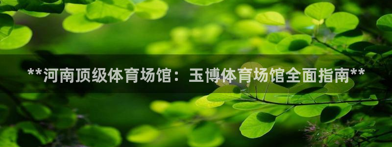 必一体育官方下载入口