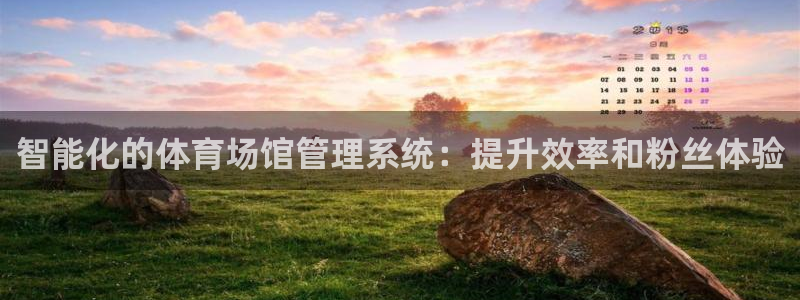必一体育在哪下：智能