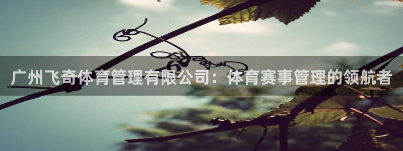必一体育网址：广州飞