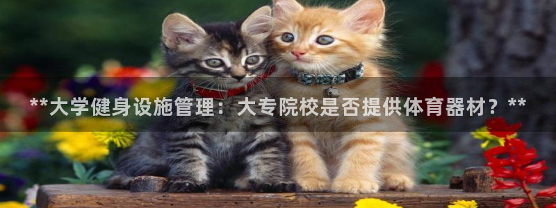 必一体育流水线是什么