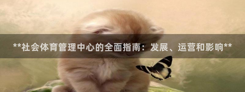 必一体育app下载最