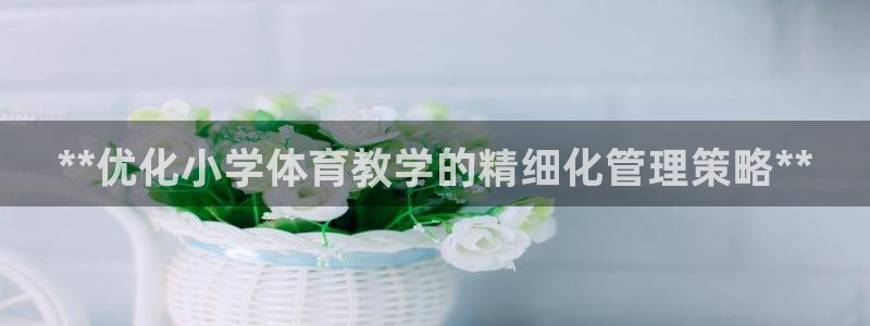 必一运动体育app：