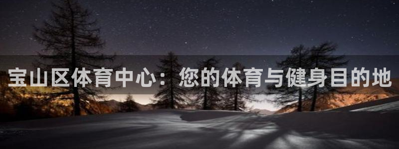 必一体育sport装