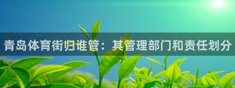 必一体育下载登入：青