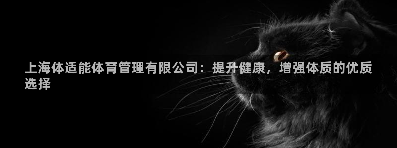 必一体育是啥：上海体