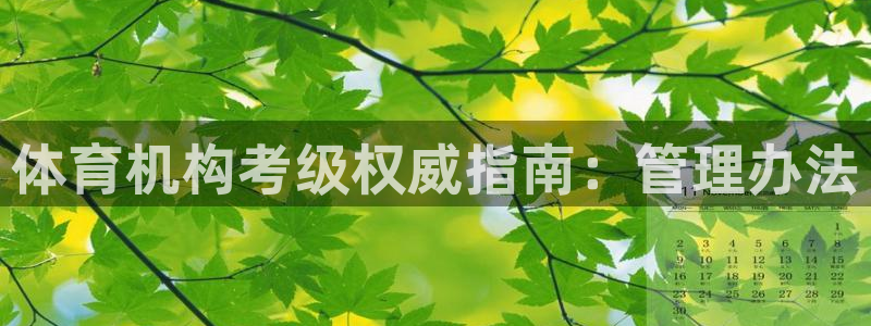 必一体育sport下
