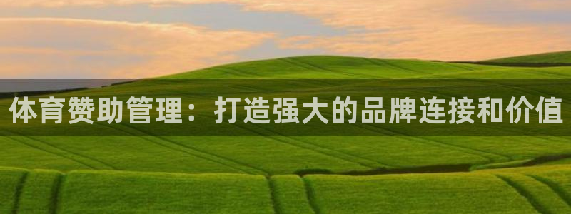 必一运动 b 体育素