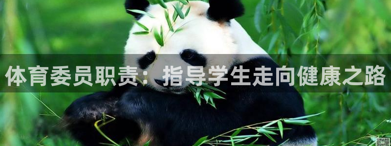 必一运动短信：体育委