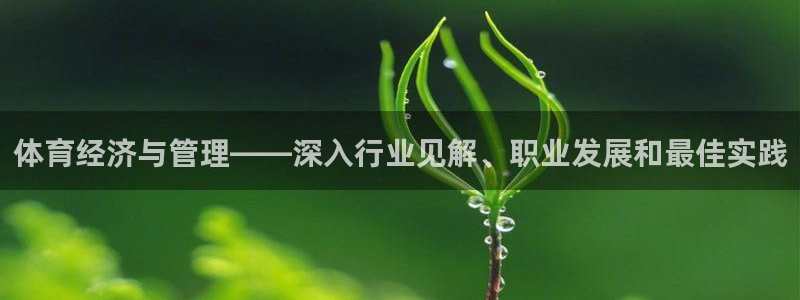 必一体育sport官