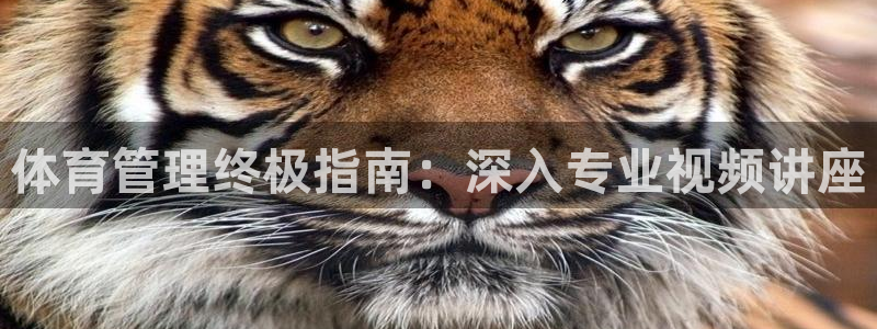 必一体育官网网址：体