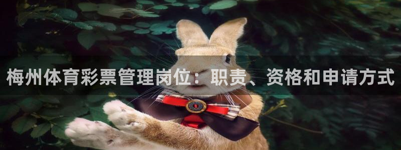 必一体育游戏特色：梅