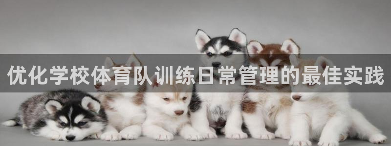 必一体育bsport