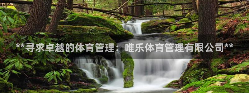 必一运动：**寻求卓