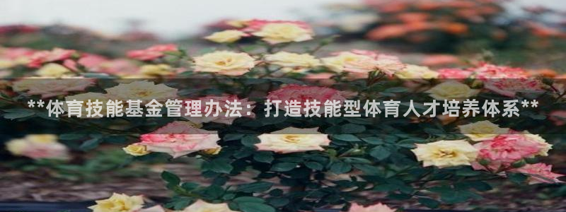 必一体育下载app下