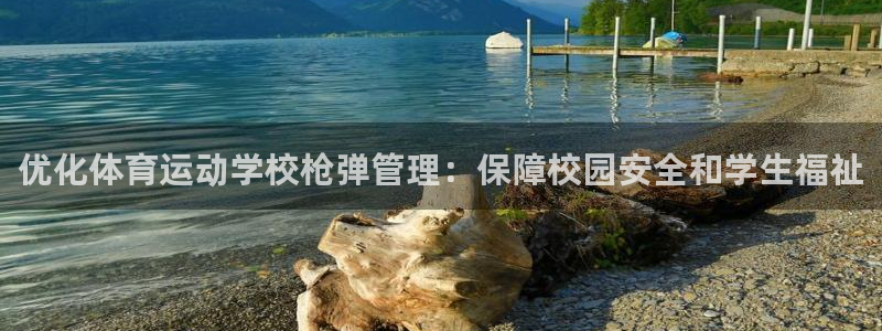 必十二和必一的副作用