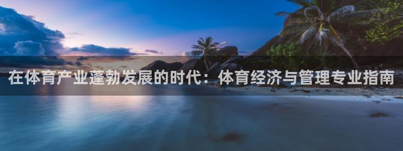 必一体育sport装